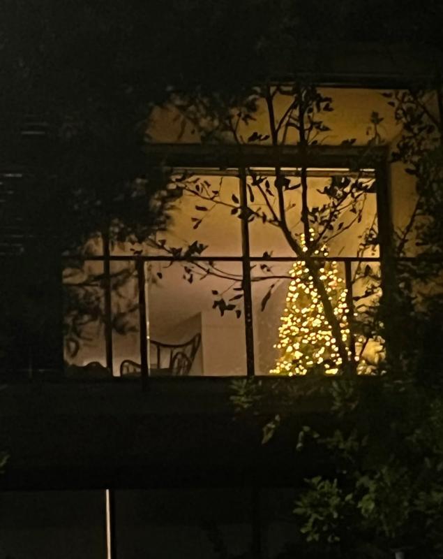 悉尼假期免费帮忙上门喂养猫狗