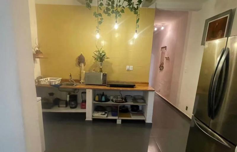 墨西哥城 romar sur 找室友 view 2