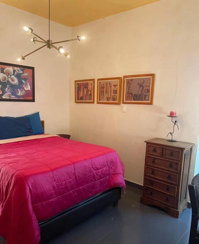 墨西哥城 romar sur 找室友 view 5