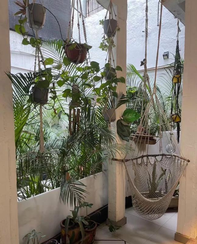 墨西哥城 romar sur 找室友 view 4